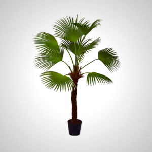 Palm Green 203cm - Tropical Indoor Plant