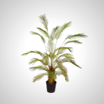 Palm Green 182cm - Tropical Indoor Plant with Glossy Leaves